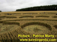 Avebury Stone Circle, Wiltshire crop circle, aerial photo 54